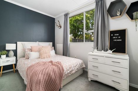 Photo of property in 18 Antimony Crescent, Cromwell, 9310