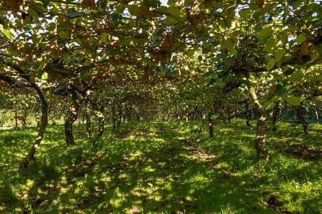 Photo of property in 394 Old Highway, Whakamarama, 3180