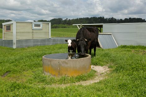 Photo of property in 386 East Road, Reporoa, 3081