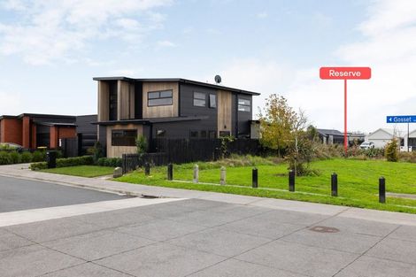 Photo of property in 38 Gosset Avenue, Chartwell, Hamilton, 3210