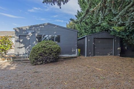 Photo of property in 17 Tenterden Street, Hawarden, 7385