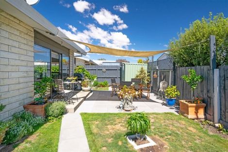 Photo of property in 51b High Street, Renwick, 7204