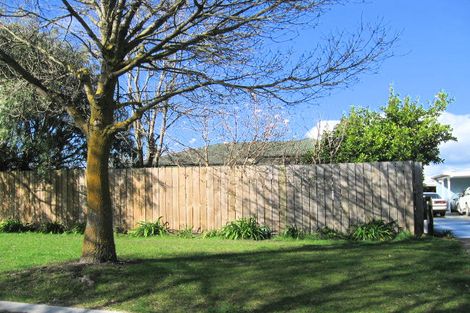 Photo of property in 1012a Frances Street, Akina, Hastings, 4122