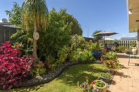 Photo of property in 43b Maxwells Road, Otumoetai, Tauranga, 3110
