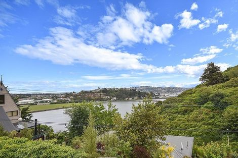 Photo of property in 20 Larnach Road, Waverley, Dunedin, 9013