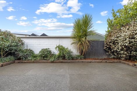 Photo of property in 1020 Colombo Street, St Albans, Christchurch, 8014