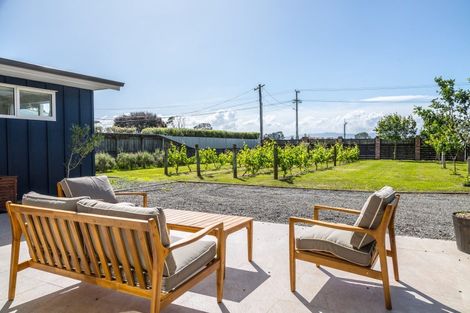 Photo of property in 56 Princess Street, Martinborough, 5711