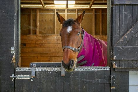 Photo of property in 34 Hetherington Road, Tirau, 3485