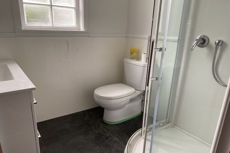 Photo of property in 78 Guy Avenue, Takaro, Palmerston North, 4410