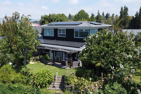 Photo of property in 195 Eleventh Avenue, Tauranga, 3110