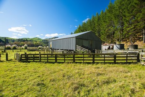 Photo of property in 1247 Wharekopae Road, Ngatapa, Gisborne, 4072