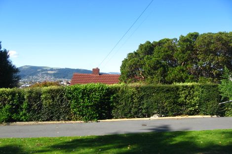Photo of property in 20 Greenhill Avenue, Wakari, Dunedin, 9010