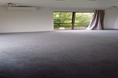 Photo of property in 108a Mount Sea Road, Thames, 3500