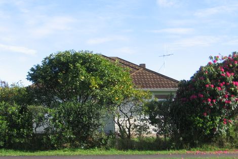 Photo of property in 12 Reeve Street, Levin, 5510