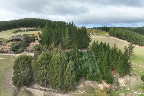 Photo of property in 47 Finlayson Road, Waihola, Milton, 9073