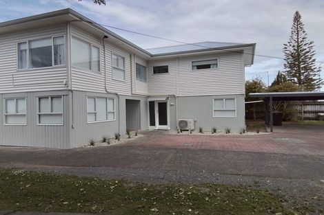 Photo of property in 133 Birkenhead Avenue, Birkenhead, Auckland, 0626