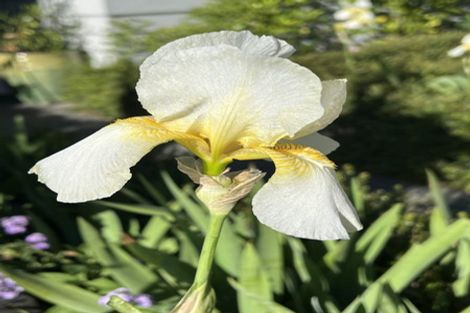 Photo of property in 1 Simeon Quay, Lyttelton, 8082