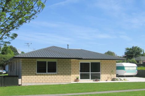 Photo of property in 59 Seales Road, Morrinsville, 3300