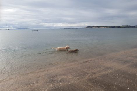 Photo of property in 144 Wade River Road, Wade Heads, Whangaparaoa, 0932