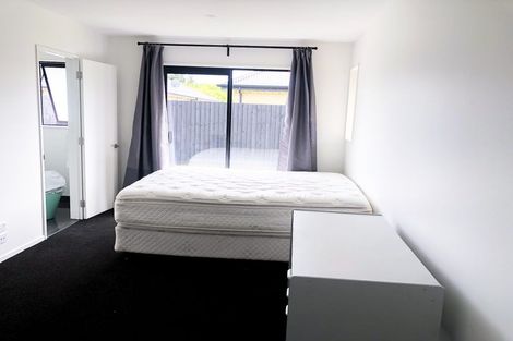 Photo of property in 60 Anaru Road, Lincoln, 7608