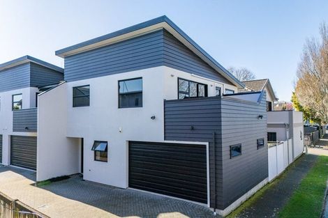 Photo of property in 44a Willoughby Street, Whitiora, Hamilton, 3200