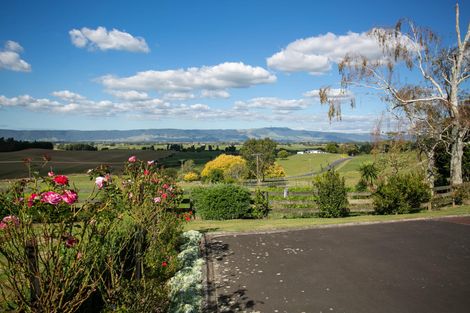 Photo of property in 171 Gunn Road, Waharoa, 3474