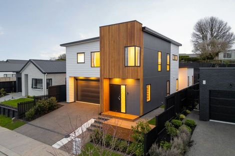 Photo of property in 19 Musselwhite Terrace, Chartwell, Hamilton, 3210