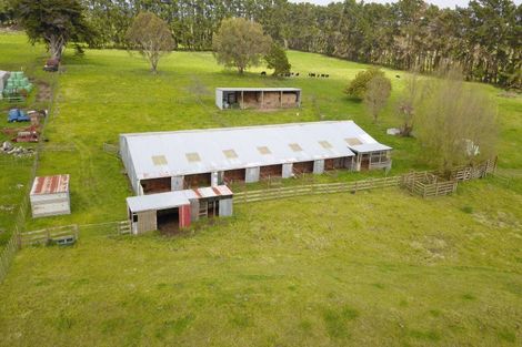 Photo of property in 358 Foxton Shannon Road, Foxton, 4893