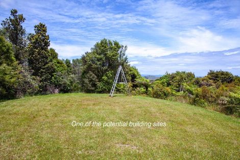 Photo of property in 1288 Manaia Road, Manaia, Coromandel, 3581