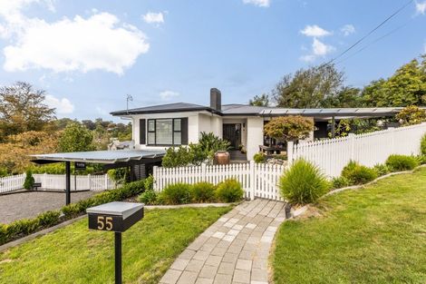 Photo of property in 55 Breadalbane Avenue, Havelock North, 4130