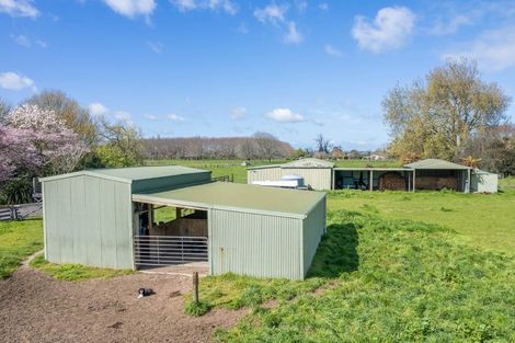Photo of property in 256 Kaipaki Road, Ohaupo, 3881