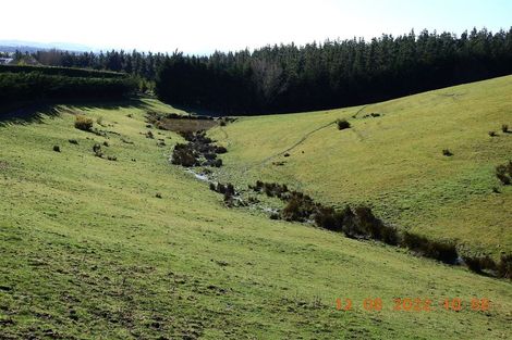 Photo of property in 103p Dalbeg Road, Balcairn, Amberley, 7482