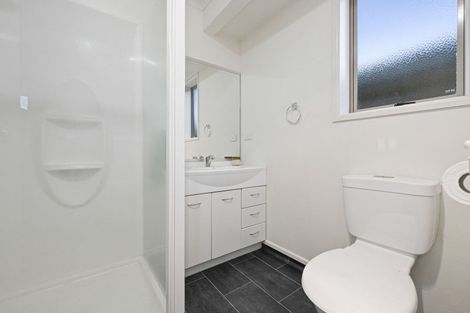 Photo of property in 9 Saint Johns Avenue, Hamilton East, Hamilton, 3216