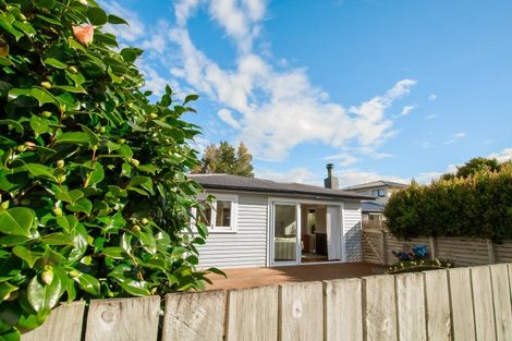 Photo of property in 51 Lincoln Street, Ashhurst, 4810