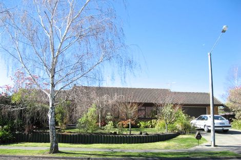 Photo of property in 63 James Cook Street, Havelock North, 4130