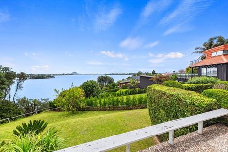 Photo of property in 33 Ririnui Place, Maungatapu, Tauranga, 3112