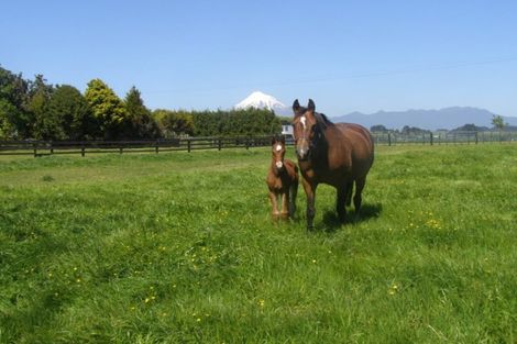 Photo of property in 389 Hursthouse Road, Tarurutangi, Inglewood, 4389