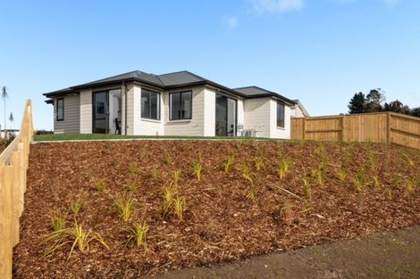 Photo of property in 19 Foley Grove, Pyes Pa, Tauranga, 3110