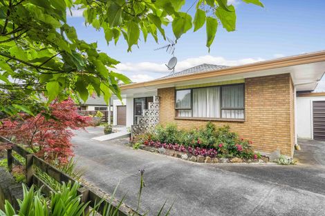 Photo of property in 110c Studholme Street, Morrinsville, 3300