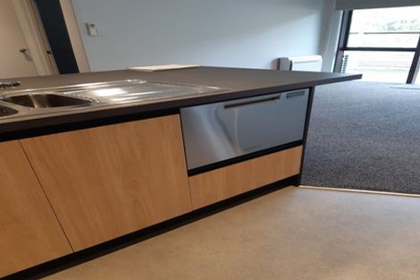 Photo of property in 29 Melrose Street, Roslyn, Dunedin, 9010