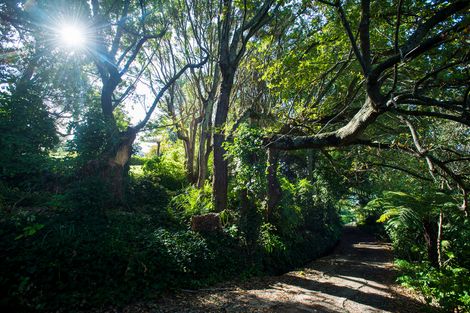 Photo of property in 9 Hillary Heights, Whataupoko, Gisborne, 4010