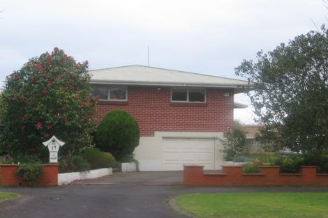 Photo of property in 19 Donny Avenue, Chartwell, Hamilton, 3210