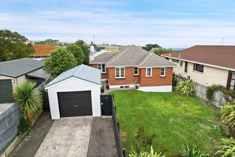 Photo of property in 20 Albion Street, Shiel Hill, Dunedin, 9013