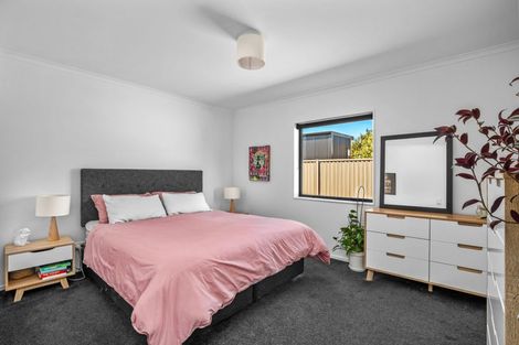 Photo of property in 4 Farrier Court, Cromwell, 9310