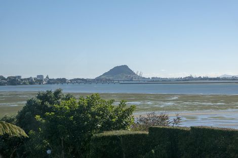 Photo of property in 250 Maungatapu Road, Maungatapu, Tauranga, 3112