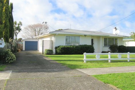 Photo of property in 17 Elizabeth Street, Feilding, 4702
