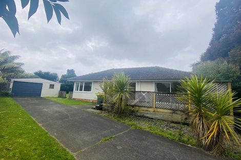 Photo of property in 51 Smythe Road, Henderson, Auckland, 0612
