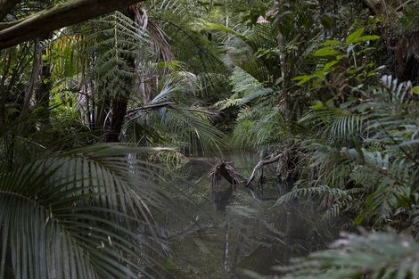 Photo of property in 73 Campbell Road, Totara North, Kaeo, 0479