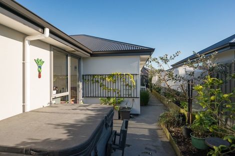 Photo of property in 41 Youngberry Drive, Richmond, 7020