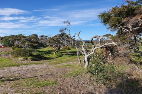 Photo of property in 880e Thornton Road, Thornton, Whakatane, 3194